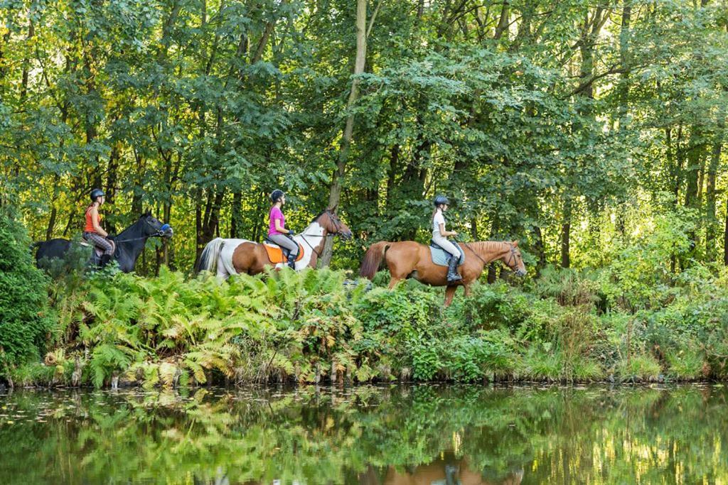 Rancho Slezanski Mlyn Szczepanów Kültér fotó