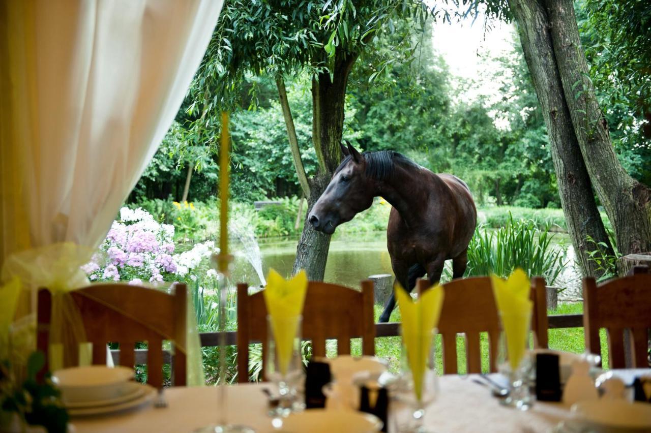 Rancho Slezanski Mlyn Szczepanów Kültér fotó